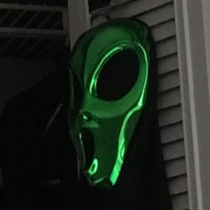 Meet your Posher, Stevie